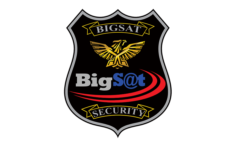 BigS@t Security